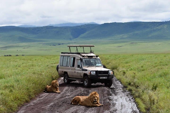 10-Day-Private-Celebrity-Tanzania-Safari-Experience-Northern-Circuit photo 3