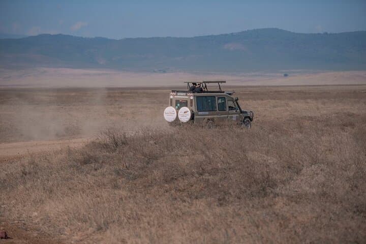 3-Day Private Serengeti & Ngorongoro Safari from Arusha (Mid-Range) photo 5
