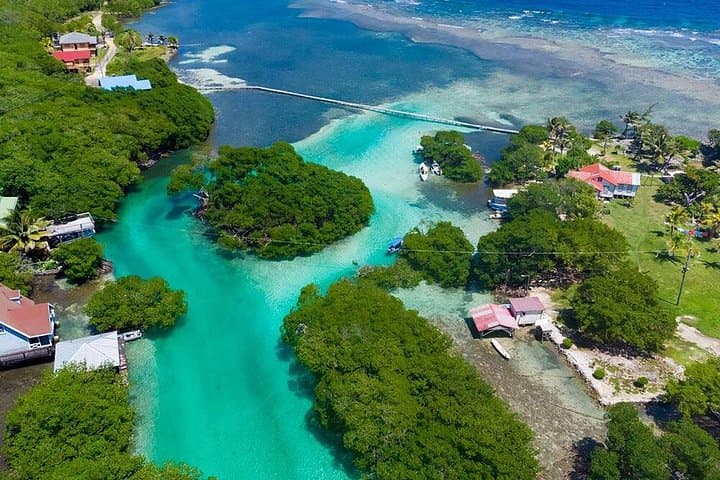 Half-Day Roatan East Cultural Tour — Turtle Sanctuary, Mangroves & Garífuna Heritage photo 2