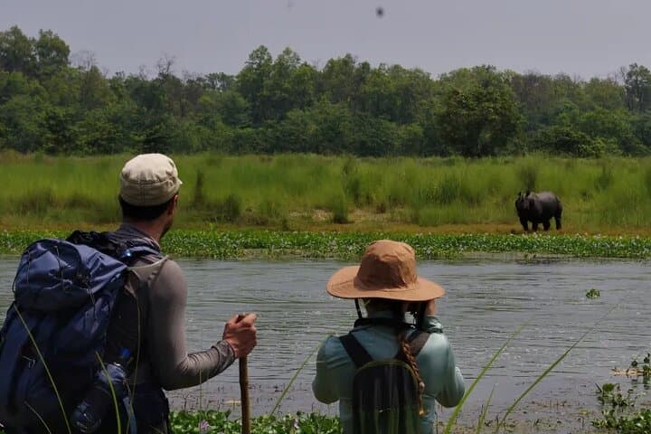 4-Day Chitwan National Park Jungle Trek from Sauraha — Wildlife, Tharu Homestays & Sameshwor Hill