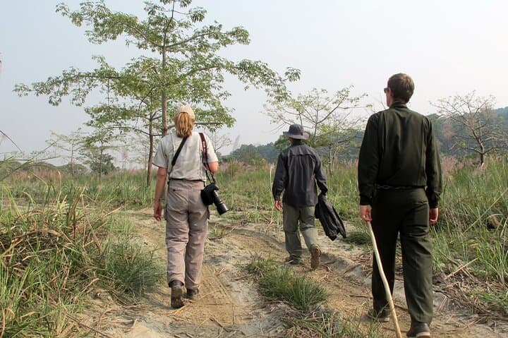 4-Day Chitwan National Park Jungle Trek from Sauraha — Wildlife, Tharu Homestays & Sameshwor Hill photo 2