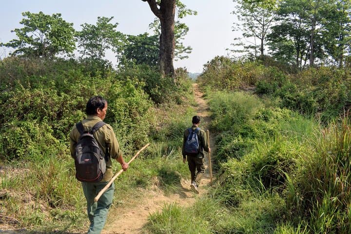 4-Day Chitwan National Park Jungle Trek from Sauraha — Wildlife, Tharu Homestays & Sameshwor Hill photo 3