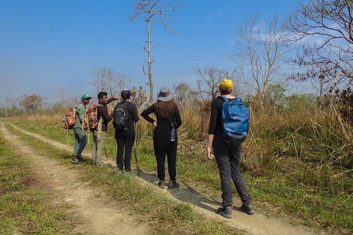 4-Day Chitwan National Park Jungle Trek from Sauraha — Wildlife, Tharu Homestays & Sameshwor Hill photo 5