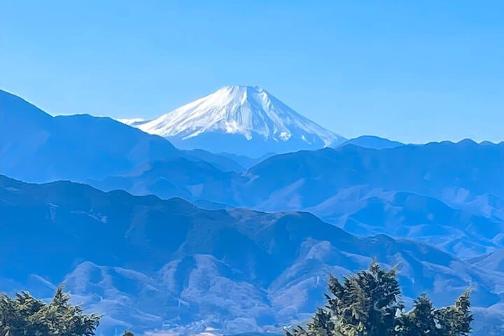 Family-Friendly Mt. Takao Tour: Cable Car, Monkey Park & Soba Lunch