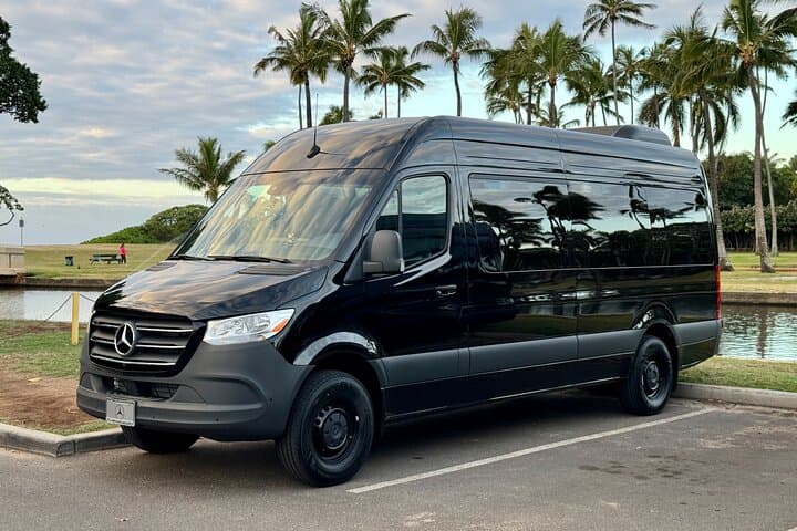 Waikiki to HNL: Private 12‑Passenger Van Transfer for Easy Arrival and Departure photo 5