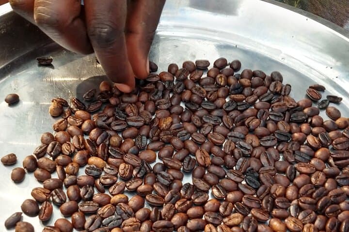 3-Day Jinja & Sipi Falls Adventure — Zipline, Waterfalls & Coffee Trails photo 5