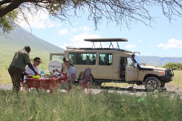 3-Day Serengeti Safari from Zanzibar — Fly-In Wildlife Adventure photo 2