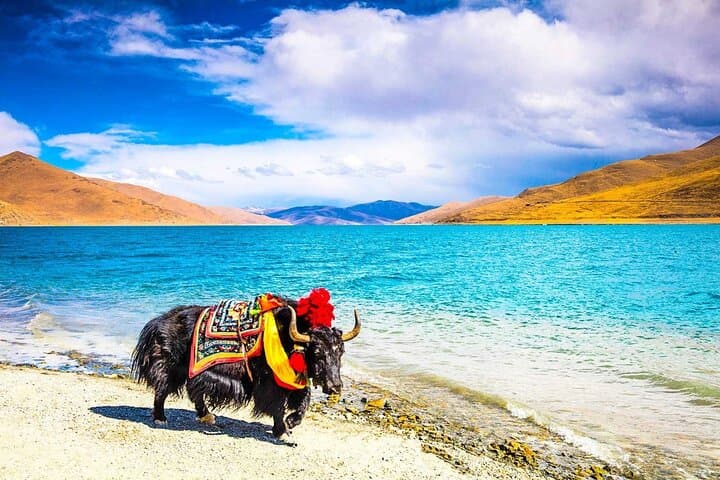 8-Day Lhasa to Everest Base Camp: Cultural High Passes and Himalayan Sunsets photo 5