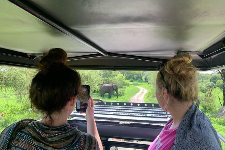 Ndutu Migration Safari: 6-Day Serengeti Calving-Season Safari photo 2