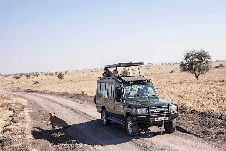 Ndutu Migration Safari: 6-Day Serengeti Calving-Season Safari photo 5