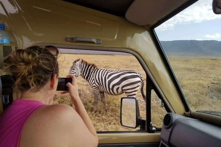 Ndutu Migration Safari: 6-Day Serengeti Calving-Season Safari photo 6