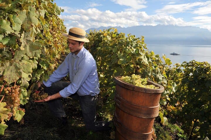 Private 8-Day Etna: Sicily Nature, Food & Wine Tour photo 2