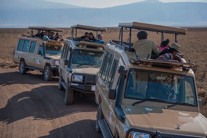 Serengeti Wildebeest Migration: 10-Day River-Crossing Safari from Arusha photo 4