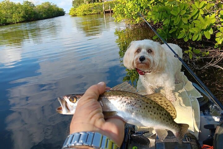 Indian River Kayak Fishing — 4-Hour Rentals from Manatee Cove photo 6