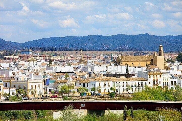 Cordoba Highlights: Private Guided Bike Tour of the Mezquita, Roman Bridge & Alcázar