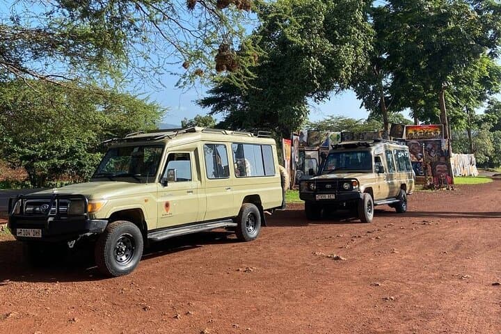 Ngorongoro Crater Day Safari: Private Full-Board Tour from Arusha photo 6