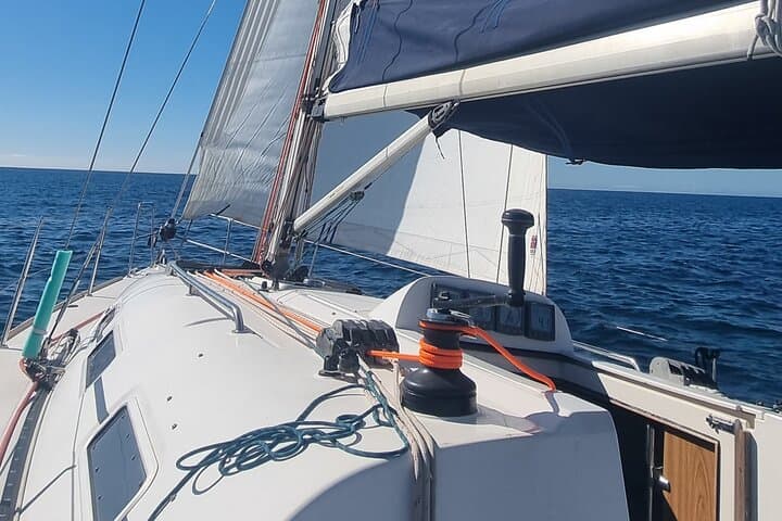 Two-Hour Marbella Sail: Dolphins, Snorkel & Coastal Views photo 6