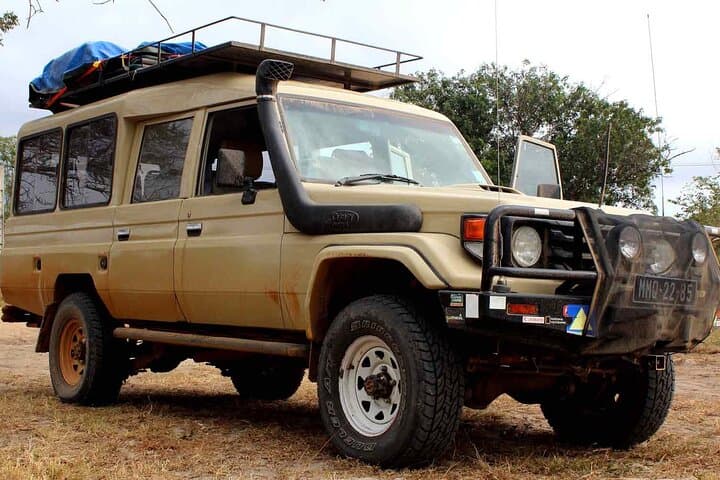 Maputo Elephant Reserve Day Safari from Maputo — Morning Wildlife Drive with Transfers