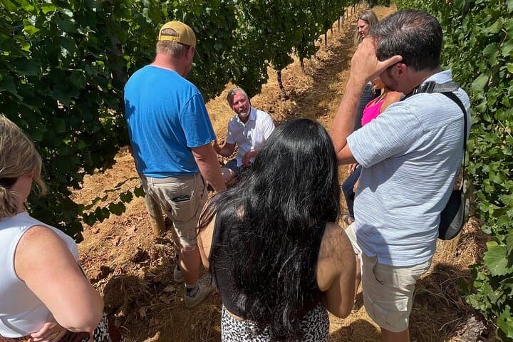 Private Willamette Valley Wine Excursion from Portland photo 3