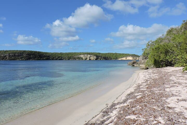 Vieques Beach Hopper: Guided Tour to Remote Pristine Beaches