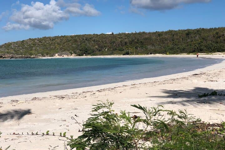 Vieques Beach Hopper: Guided Tour to Remote Pristine Beaches photo 2