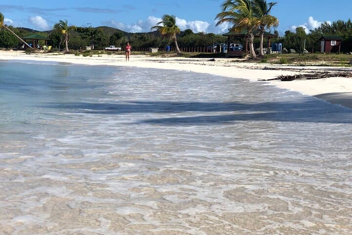 Vieques Beach Hopper: Guided Tour to Remote Pristine Beaches photo 5