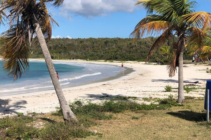 Vieques Beach Hopper: Guided Tour to Remote Pristine Beaches photo 6