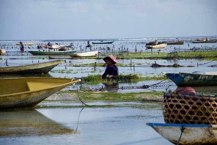 Island Highlights: All-Inclusive Nusa Lembongan Day Tour from Sanur photo 3