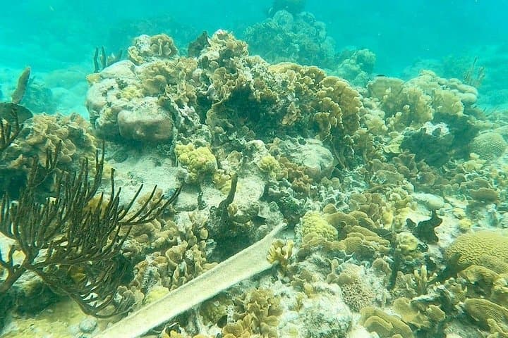 Sailing to Portobelo's Hidden Caribbean Beaches: Venas Azules & Playa Blanca Day Trip photo 4