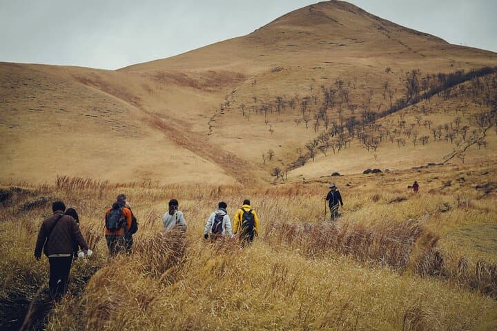 Mt Yufu Grassland Guided Hike and Meadow Lunch in Yufuin photo 3