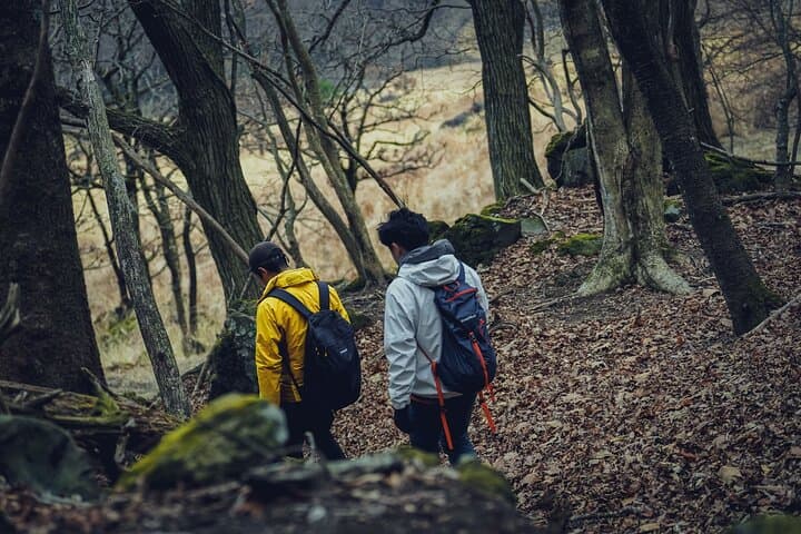 Mt Yufu Grassland Guided Hike and Meadow Lunch in Yufuin photo 4