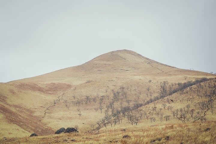 Mt Yufu Grassland Guided Hike and Meadow Lunch in Yufuin photo 5