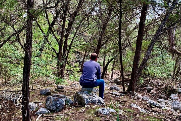 Forest Mindfulness and Embodiment Experience in Austin
