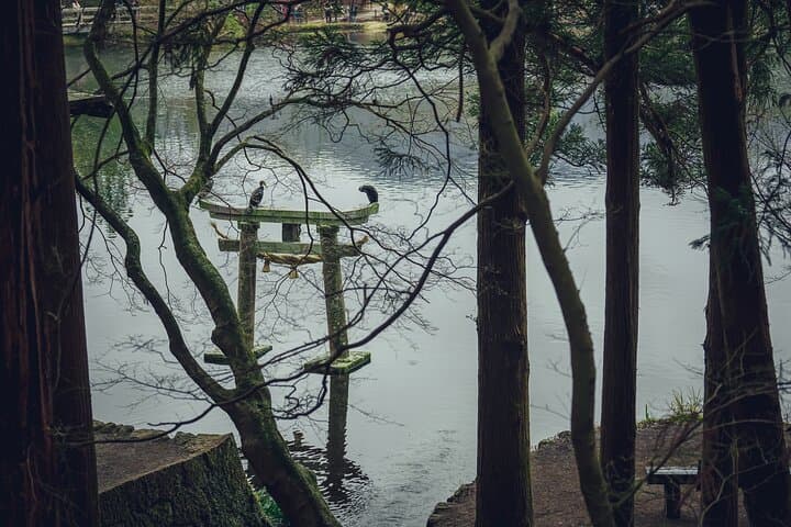 Yufuin Onsen Guided Walking Tour — Kinrin Lake, Bussanji Temple & Back-Roads photo 4