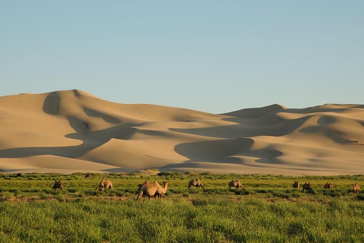 Gobi Desert 9-Day Expedition: Khongoryn Els, Flaming Cliffs & Orkhon Valley photo 3