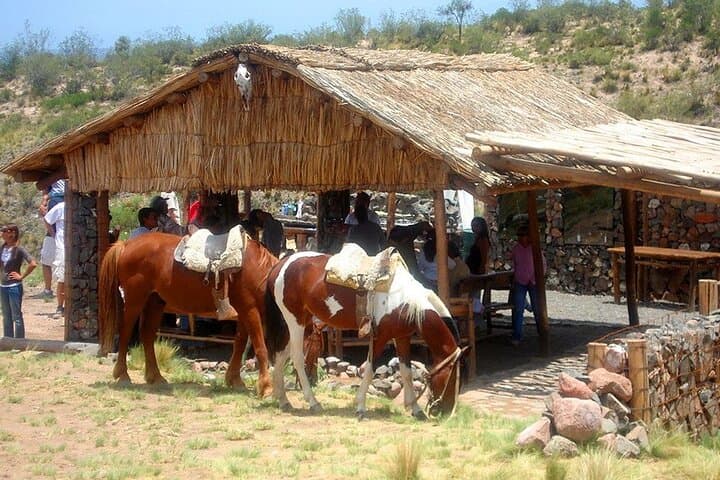 Horseback Riding & Traditional Asado with Mendoza Wine photo 6