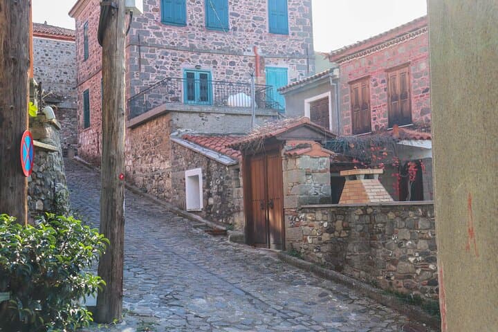 West Lesvos Day Tour: Monastery, Petrified Forest & Sigri Beach photo 3