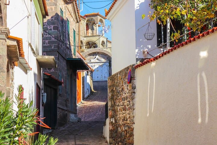 West Lesvos Day Tour: Monastery, Petrified Forest & Sigri Beach photo 5