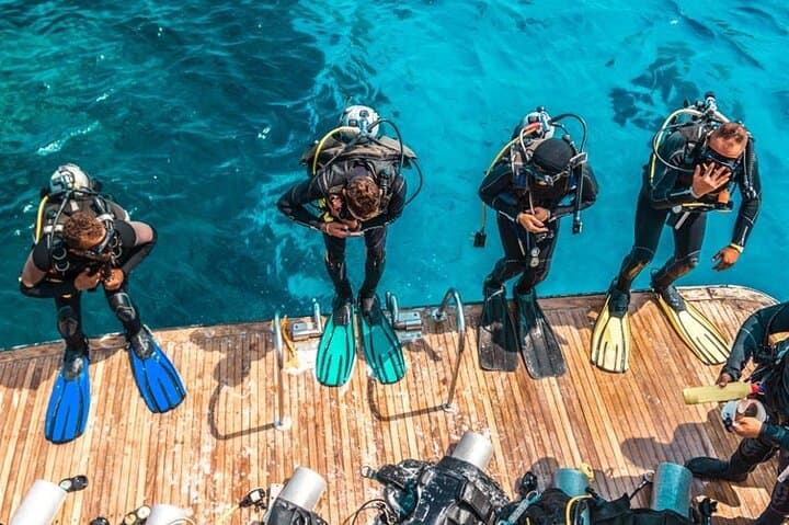VIP Boat to Ras Mohamed & White Island: Full-Day Snorkel and Dive from Sharm El-Sheikh photo 5