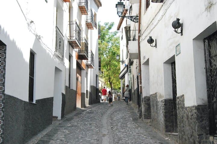 Granada Highlights: Albaicín & Sacromonte Private Walking Tour with Alhambra Views photo 3