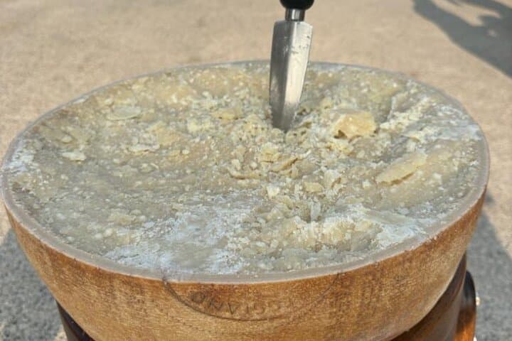 Emilia-Romagna Slow Food and Ferrari Full-Day Tour from Bologna