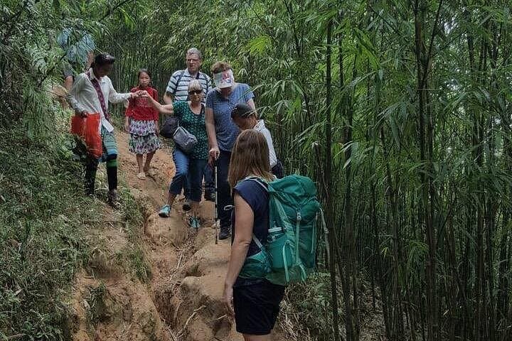 6-Hour Ta Van Trek through Muong Hoa Valley: Rice Terraces & Hmong Culture photo 1