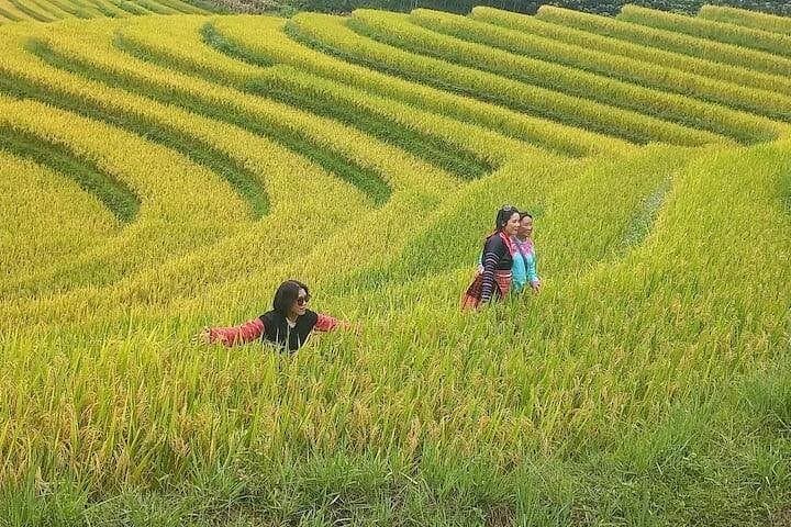 6-Hour Ta Van Trek through Muong Hoa Valley: Rice Terraces & Hmong Culture photo 2