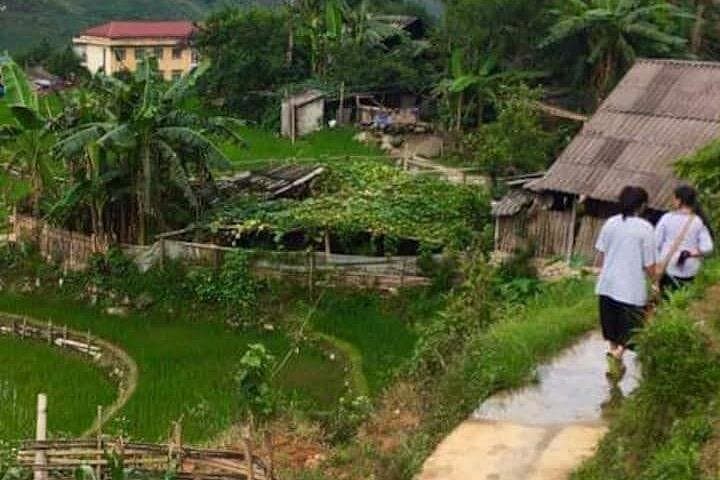 6-Hour Ta Van Trek through Muong Hoa Valley: Rice Terraces & Hmong Culture photo 3
