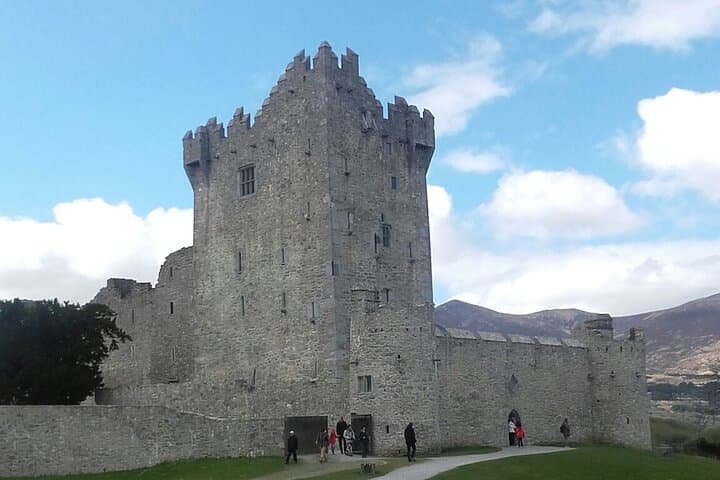Exploring Killarney Valley and National Park: An Immersive Day Tour in Ireland’s Wild Heart photo 2