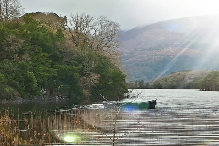 Exploring Killarney Valley and National Park: An Immersive Day Tour in Ireland’s Wild Heart photo 4