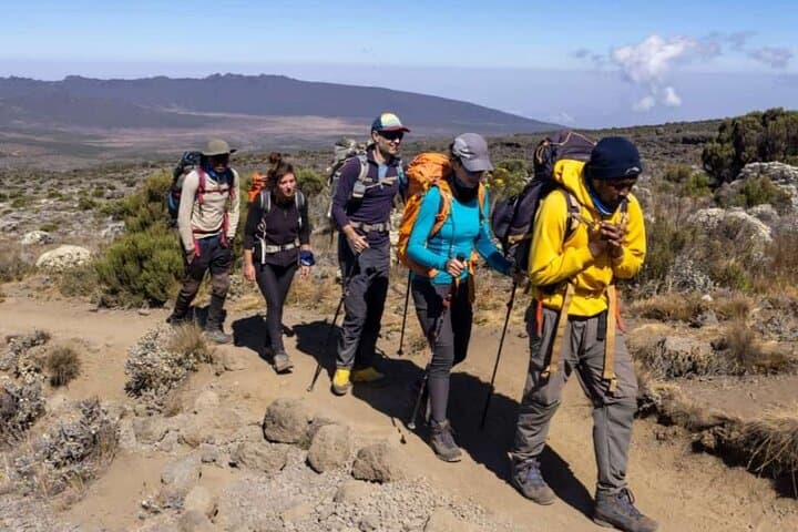 7-Day Rongai Route Kilimanjaro Climb — North-Route Summit Guide