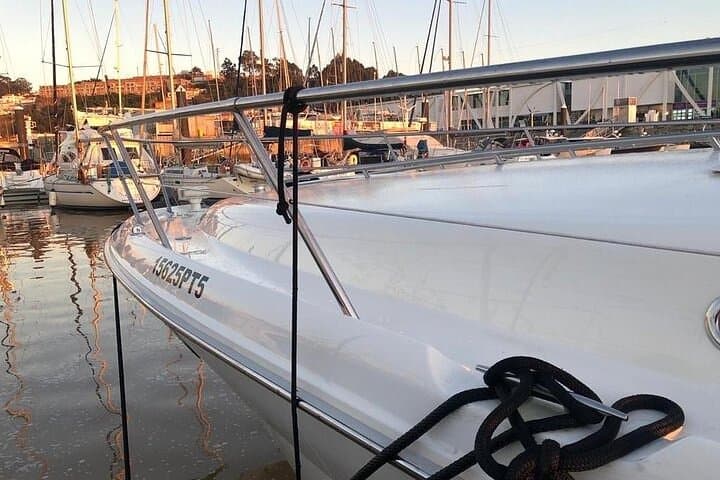 Private Douro River Yacht Cruise in Porto: Sunset, Daytime or Night Experience photo 6