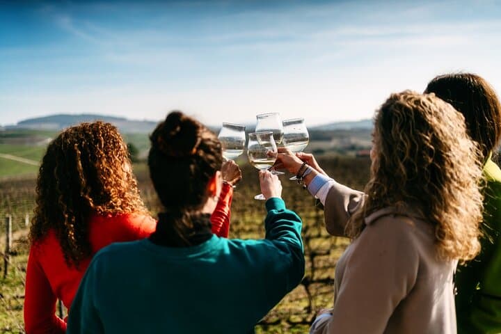 Douro Valley Day Tour — Port Wine Tasting, Quintas, Lunch & River Cruise photo 1