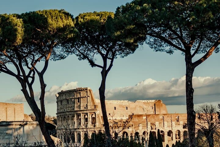 Colosseum Express Guided Tour — First & Second Levels, Roman Forum & Palatine photo 5